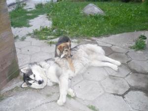 Прикачена снимка