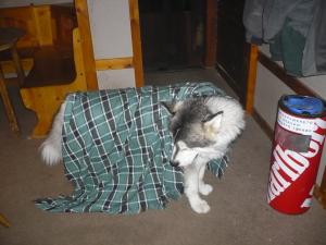 Прикачена снимка