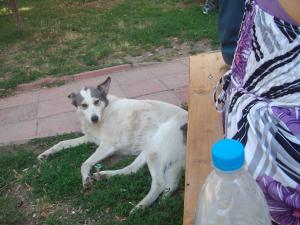 Прикачена снимка