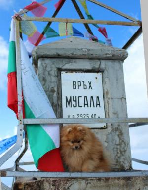 Прикачена снимка