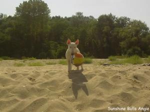Прикачена снимка