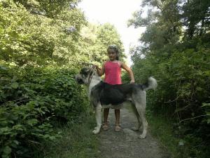 Прикачена снимка