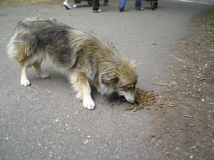 Прикачена снимка