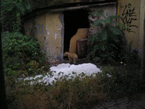 Прикачена снимка