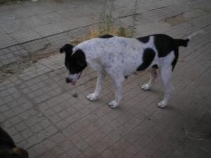 Прикачена снимка
