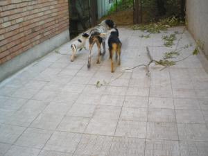 Прикачена снимка