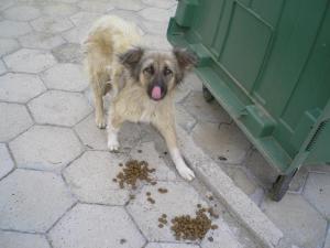 Прикачена снимка
