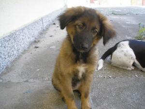 Прикачена снимка