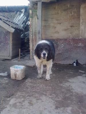 Прикачена снимка