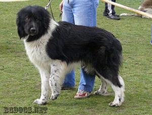 Прикачена снимка