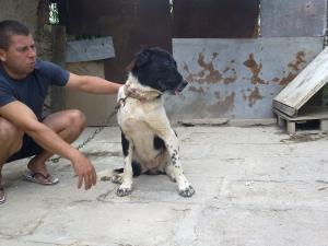 Прикачена снимка