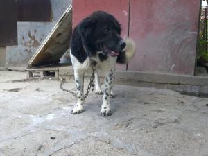 Прикачена снимка