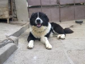 Прикачена снимка
