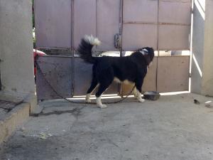 Прикачена снимка