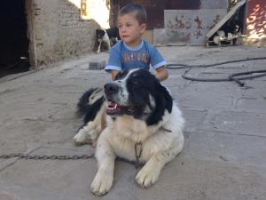 Прикачена снимка