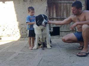 Прикачена снимка