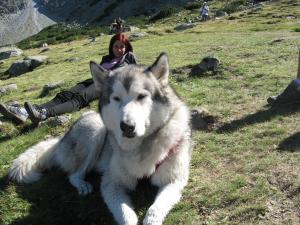 Прикачена снимка