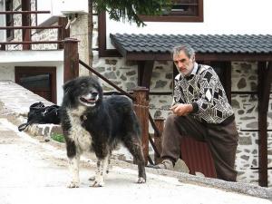 Прикачена снимка