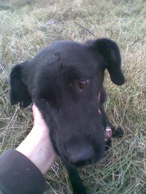 Прикачена снимка