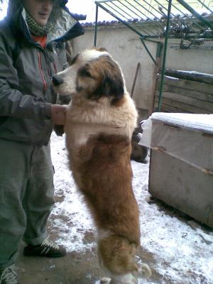 Прикачена снимка