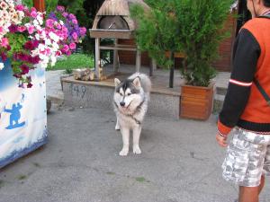 Прикачена снимка
