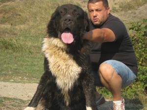 Прикачена снимка