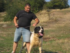 Прикачена снимка