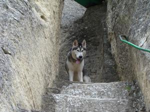Прикачена снимка