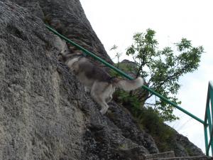 Прикачена снимка