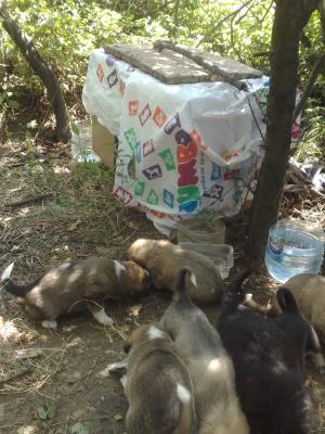 Прикачена снимка