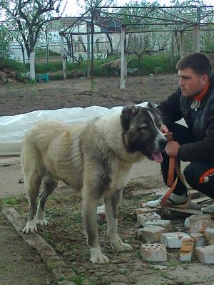 Прикачена снимка