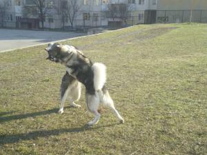 Прикачена снимка
