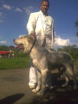 Прикачена снимка