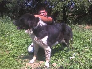 Прикачена снимка