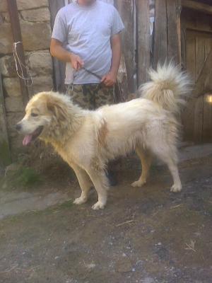 Прикачена снимка