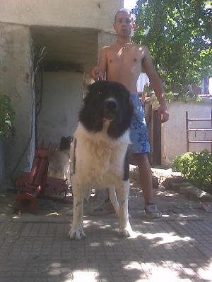Прикачена снимка