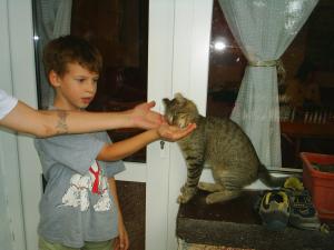 Прикачена снимка