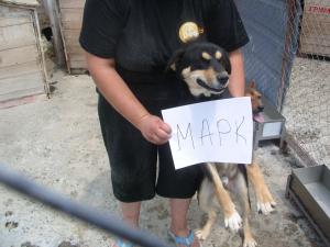 Прикачена снимка