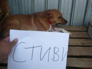 Прикачена снимка