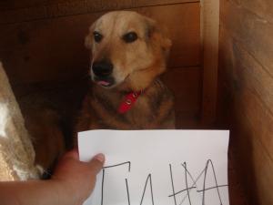 Прикачена снимка