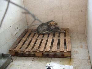 Прикачена снимка