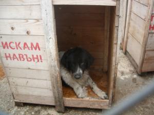 Прикачена снимка