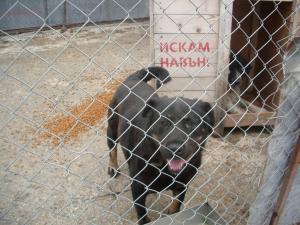 Прикачена снимка