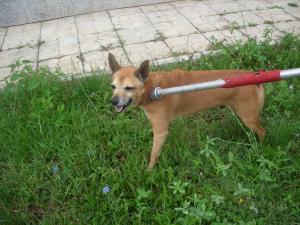 Прикачена снимка