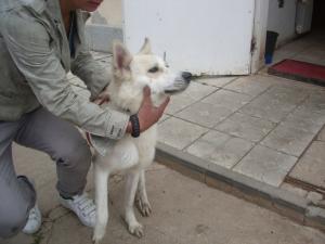 Прикачена снимка
