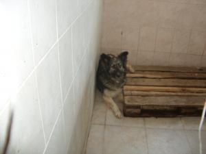 Прикачена снимка