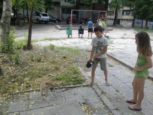 Прикачена снимка