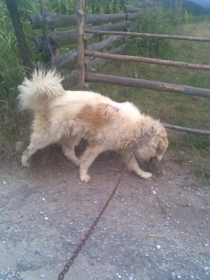 Прикачена снимка