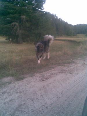 Прикачена снимка