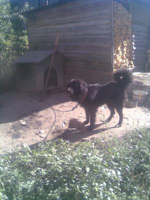 Прикачена снимка